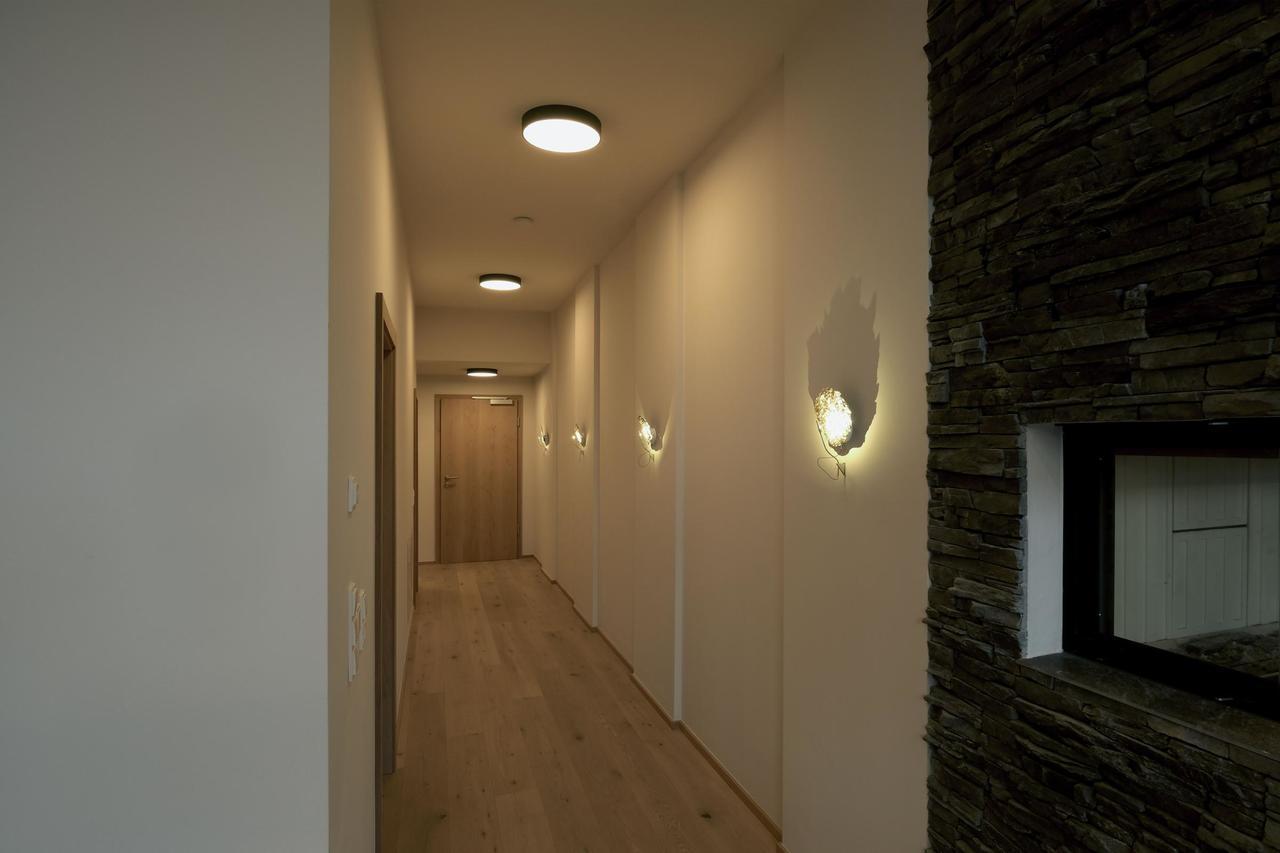 胡勒斯巴赫平Alpin Penthouse Hollersbach公寓 外观 照片