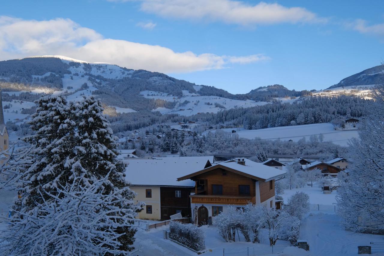 胡勒斯巴赫平Alpin Penthouse Hollersbach公寓 外观 照片