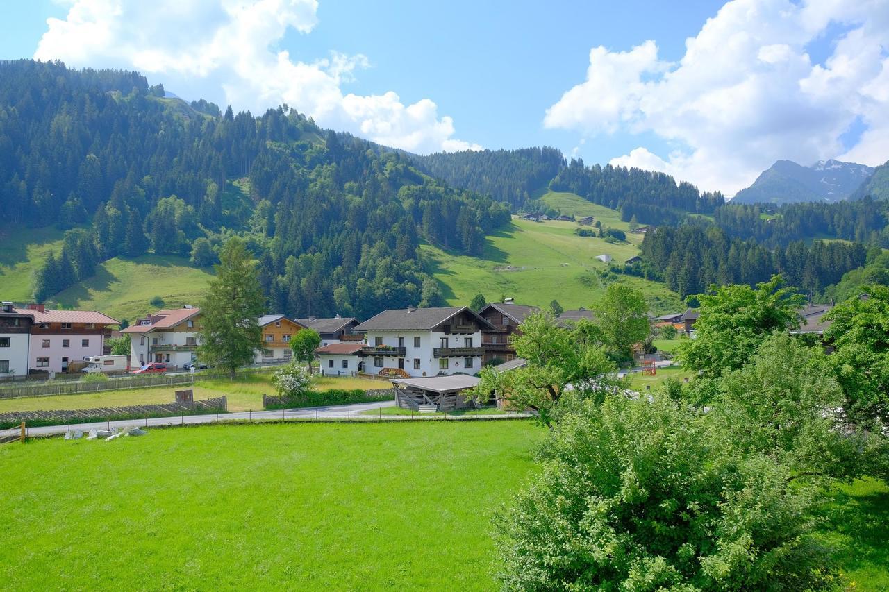 胡勒斯巴赫平Alpin Penthouse Hollersbach公寓 外观 照片