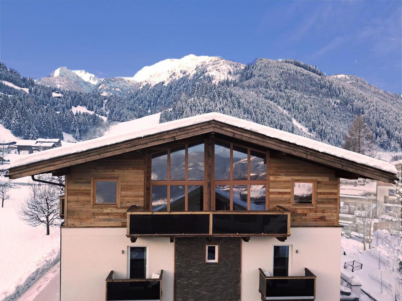胡勒斯巴赫平Alpin Penthouse Hollersbach公寓 外观 照片